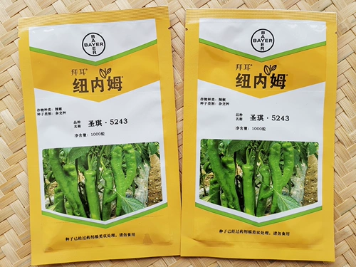 Shengqi Big Sheep, семена перца перец перец, преждевременный желтый -зеленый крупный фруктовый в форме Фур.