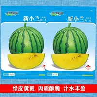 Новые семена арбуза Xiaolan, зеленая кожа, желтая плоть, маленький подарок, семена фруктов, супер сладкие, тонкая кожа, весна и лето, балкон, огород
