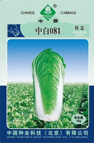 Китай белый 081 Капустные семена китайская академия сельскохозяйственных наук Капуста китайская овощная осень зимняя вещание