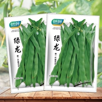 Семена зеленой нефтяной фасоли 40 граммов оригинальной установки около 40 капсул