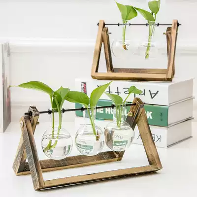 Indoor transparent hydroponic plant glass vase creative office solid wood container desktop decoration art ornaments