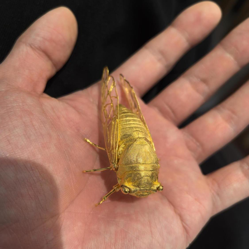 Cicada Transforms into a Golden Cicada, Light Luxury Heavy-Duty Golden Cicada Ornament, Vintage Compact Design, Fun Trendy Plaything, Unique Decorative Piece Cicada Transforms into a Golden Cicada, Light Luxury Heavy-Duty Golden Cicada Ornament, Vintage Compact Design, Fun Trendy Plaything, Unique Decorative Piece