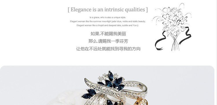 Broche femme en cristal autrichien - Ref 1178504 Image 18