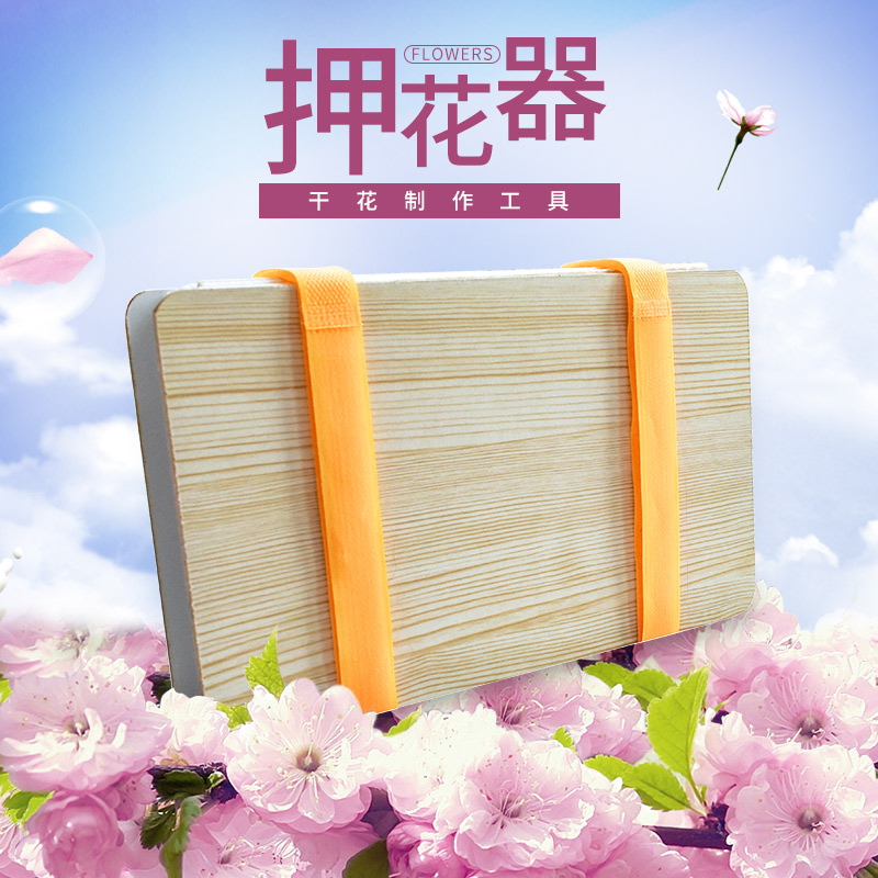 Plant specimen making tool diy immortal flower dry flower embossing board pressed flower hygroscopic fruit piece rose drying board