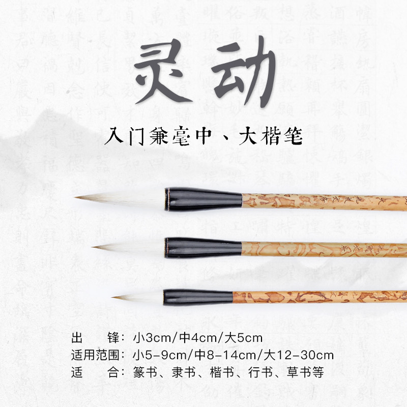 Big Condensed Books House Big Small And Medium Three Introductory Hearses and Low-priced Exploits Seal the Seal Grass can be all