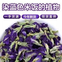 Station de riz Blue Ggluous Dye Blue Butterfly Flowers Rice 7 Colorful Rice Group Five Colors Natural Colorful Rice Butterfly Bean Flower