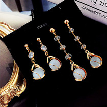 Korean temperament long crystal opal drop earrings personality S925 silver needle stud earrings simple net red tassel earrings women