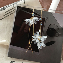 Personality asymmetrical flower earrings Korean temperament net red high-grade sense of tassel earrings moving drop earrings female pendant