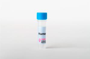 Peprotech 细胞因子 human FGF-basic 100-18B-50ug