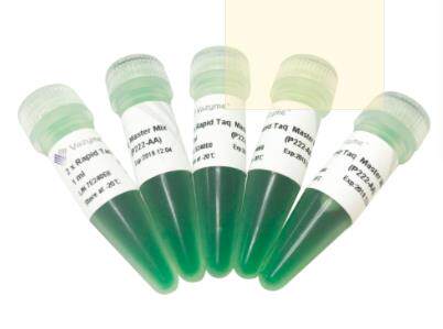 诺唯赞Vazyme 快速PCR试剂盒 P222-01