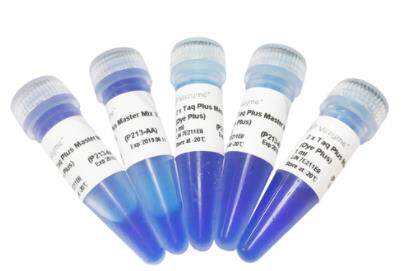 诺唯赞Vazyme DNA 聚合酶2&times;Taq Plus Master Mix Ⅱ P213-01 5ml