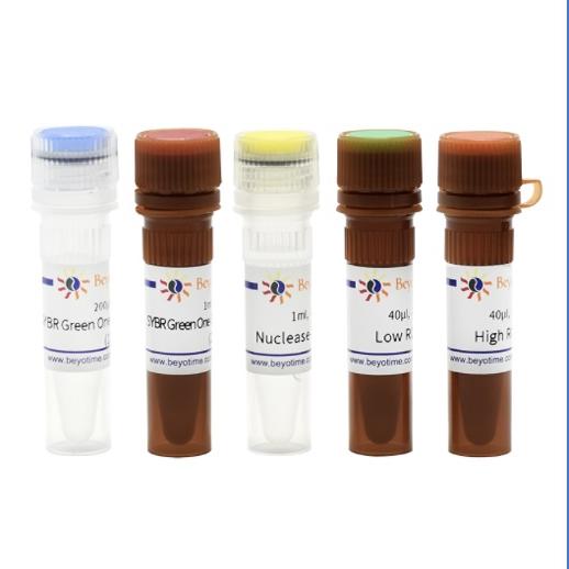 碧云天 一步法反转录荧光定量试剂盒 qRT-PCR Kit D7268S