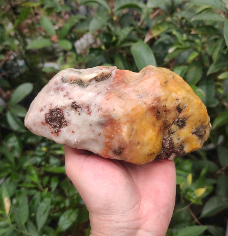 Ningqiang Coral Jade Red Pink Yellow White Rabbit Pictograph Raw Stone Fossil Natural Kistler Small Pieces of Snow Pattern Paleontology L