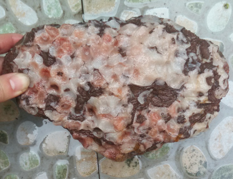 Ning Qiang Coral Jade White Floating Red Fu Ring Coral Jade Pomegranate Rare Fossil Natural Wonder Stone Pendulum Original Stone