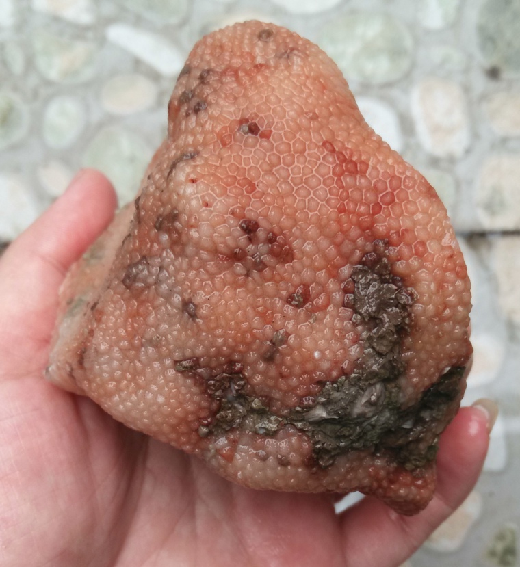 Ning Qiang Coral Jade Fossil Snowflake Grain Small Chrysanthemum Veins Original Stone Original Eco Red Boutique (2 Blocks Selected W