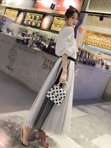 2019 spring and summer Korean version of the new yarn skirt female skirt long skirt high waist wild mesh a-line skirt thin tutu fairy