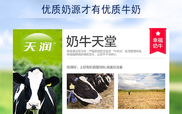 新疆特产天润盖瑞纯牛奶利枕200g*20包