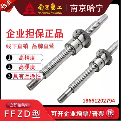 Nanjing craft precision machining custom linear ball screw slide FFZD1605 1610 1204 6310