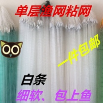 1 finger fish net hanging net Single-layer net White bar fishing net Horse mouth sticky net Meal fish White minnow Diao Zi Jiao mouth fish wire mesh floating net