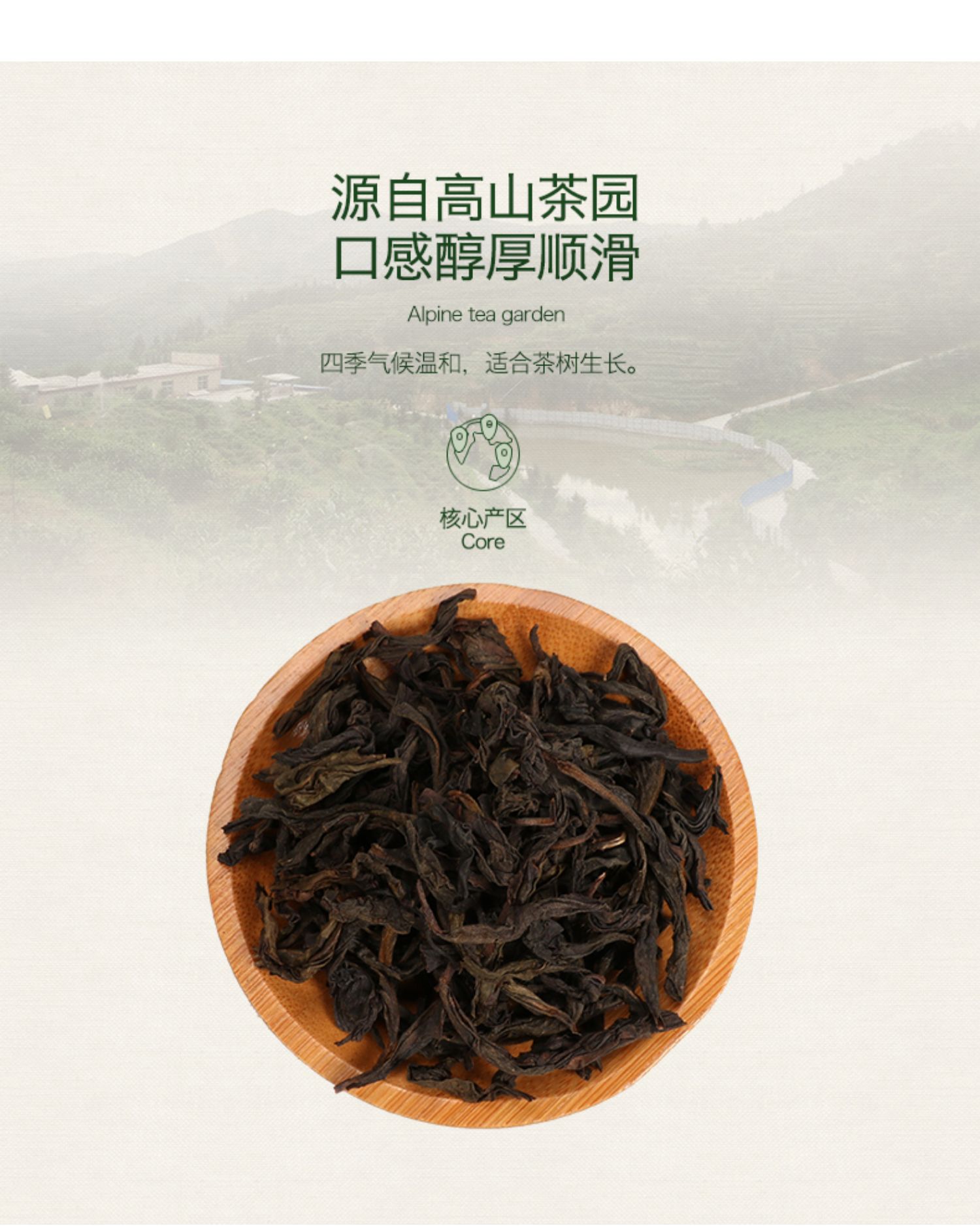 绿芳春茶特级乌龙茶大红袍礼盒装