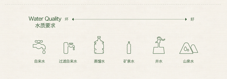 【12颗】绿芳小青柑普洱新会陈皮茶