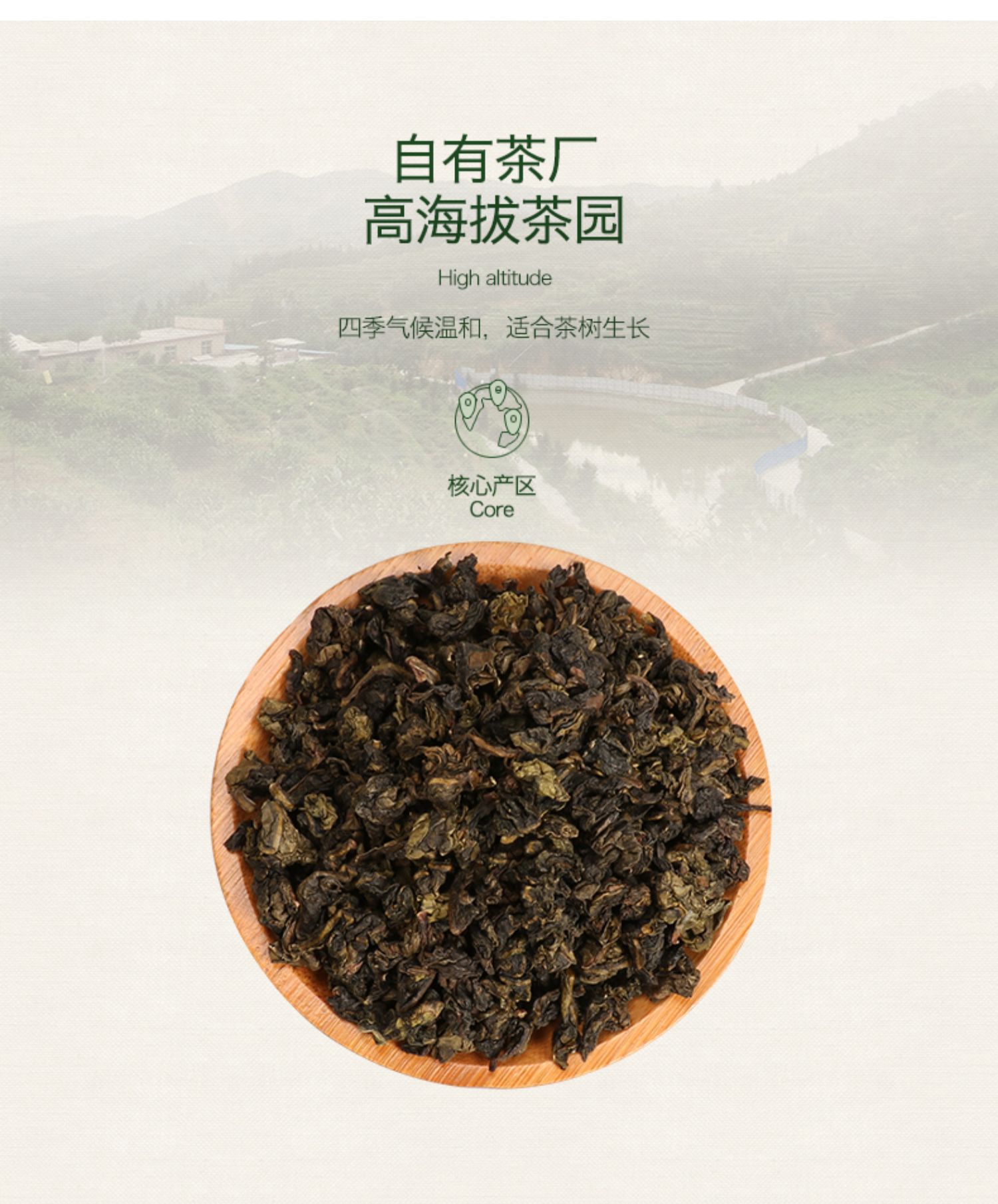 【铁观音】绿芳特级乌龙茶礼盒装500g