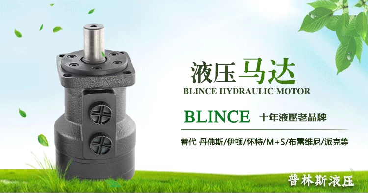 BM1/BM2-80/125/160/200/315/400 khuôn xoắn máy ép bốn lỗ lắp đặt động cơ dầu thủy lực mô tơ thủy lực cũ mô tơ thủy lực bánh răng