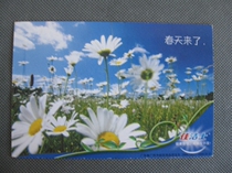 Postcard postcard collection by Postcard: Gimprint-sheet flowers