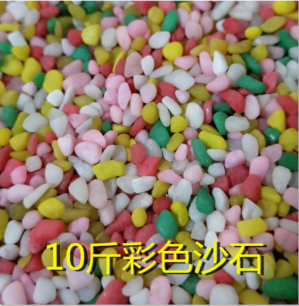 This year New stock Semen Cassiae Toy Sandcassiae Batch of semen Cassiae Bulk Semen Cassiae Pillow ten Jin