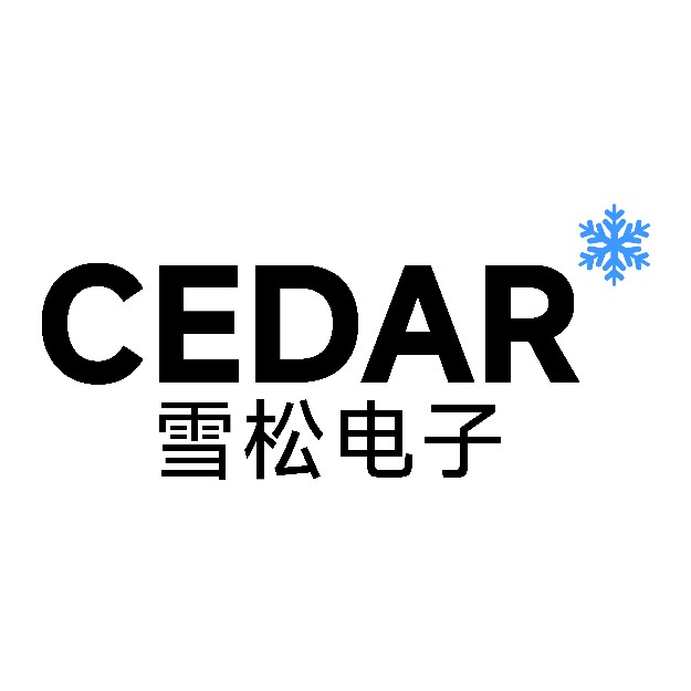 雪松电子科技