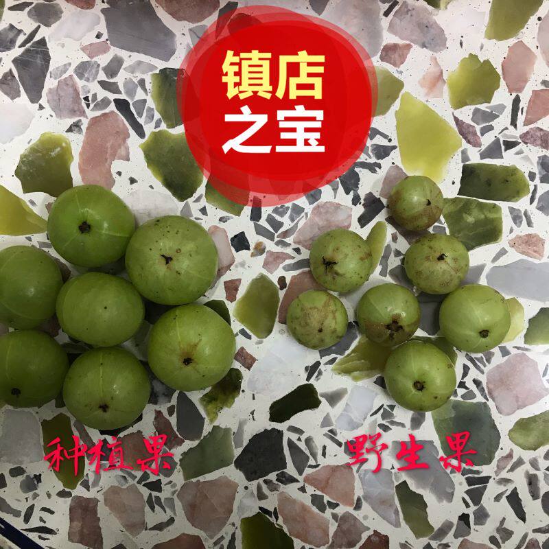 Alpine wild oil ganzi now pluss now a cow citrus fruit a 5 catty of yugani olive pregnant woman fruit