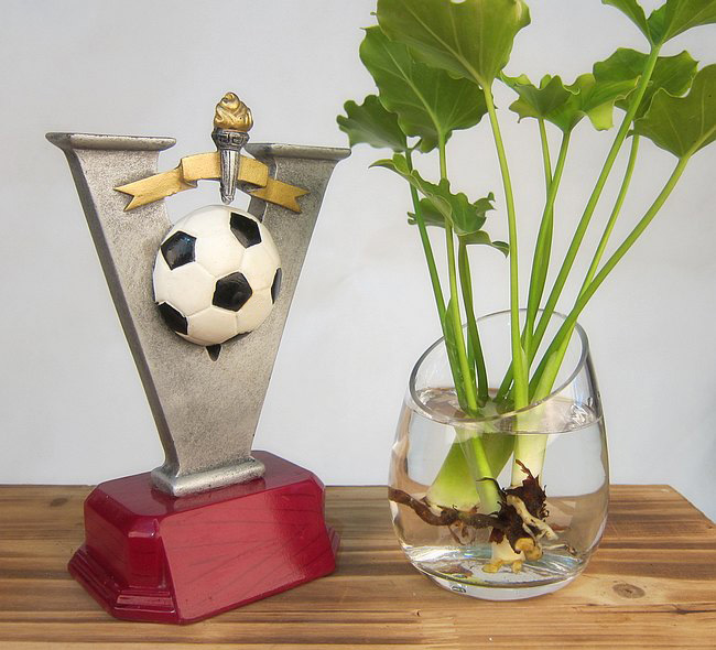 Football fans with personalized gifts creative engraving crafts trophy decorative fittings birthday commemoration
