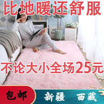 Xinjiang Tibet (Thickened) Carpet Bedroom Girl with Dirty Bedside Carpet Room Full Of Carpet Guests