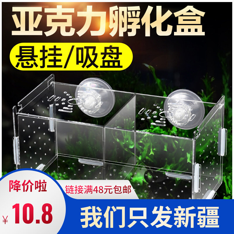Xinjiang Fish Box Isolation Box Peacock Breeding Box Acrylic Hatch Tortoise Small Fish Saw