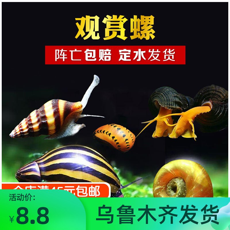 Screw-screw tool screw-water apple zebra onion killer diamond bee cleaning tool screw