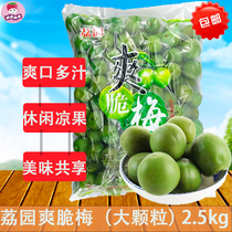 Liyuan crisp plum 2 5kg Large green plum Green mouth plum cool fruit Sweet and sour appetizing juicy snack food Emerging specialties