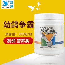 Kedove dove medicine (young pigeon contending) disease-resistant forces 300 bottles of young pigeon to take the bulls and grow young pigeon contending