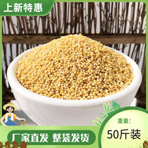 New yellow millet shelled millet tiger skin peony black phoenix small and medium parrot jade bird food bird food feed 50 pounds