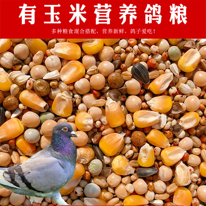 5 kg of pigeon food Corn young pigeon feed Bird food Carrier pigeon watching pigeon meat Pigeon food Racing pigeon food Young pigeons