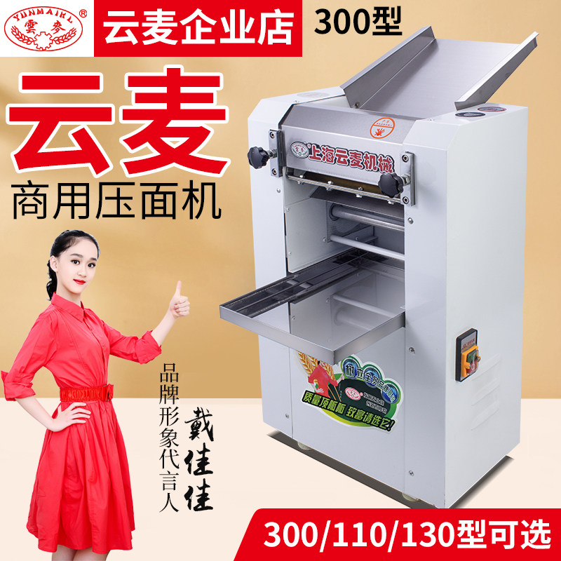 Cloud Wheat 300 Stainless Steel Noodle Maker Buns Water Dumper Machine 110 High-speed Noodle Machine Noodle Machine Commercial Kneading Machine