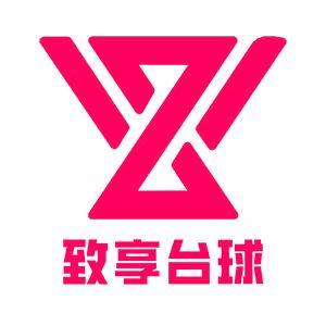 致享台球运动装备
