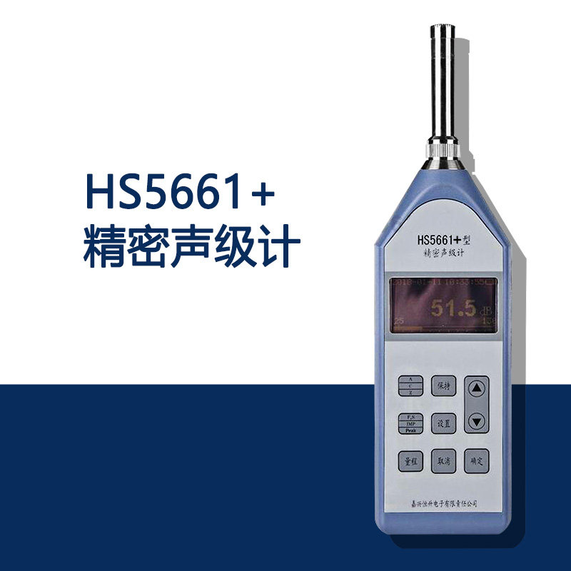 Jiaxing Hengsheng HS5661 Precision Sound Level Meter High Precision Noise Analyzer Detector Tester
