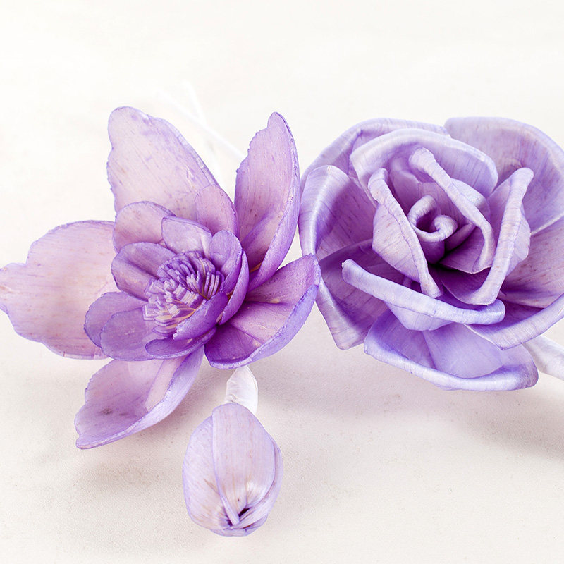 ������޹������Ʒ��