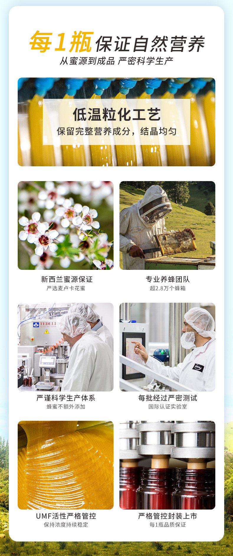 新西兰原装进口 康维他 Comvita UMF 5+ 麦卢卡蜂蜜 500g 图6