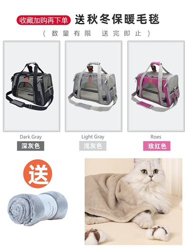 Портативная вместительная и большая переносная сумка для выхода на улицу, рюкзак