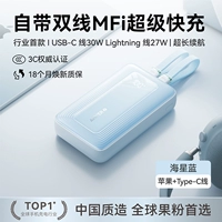 Синяя морская звезда [поставляется с двойной линией Apple Lightning + TypeC⭐️ Флэш-зарядка 30 Вт] Подходит для Apple 6–17+ Android Быстрая зарядка