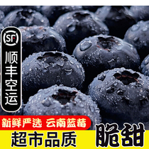 Yunnan blueberry fresh seasonal fruit floral black blue plum pregnant women baby food supplement big fruit high mountain sweet blueberry