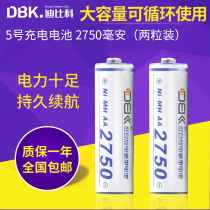 Dubic DBK-AA No 5 rechargeable battery 2pcs 2750 mAh Flash remote control Electronic toy