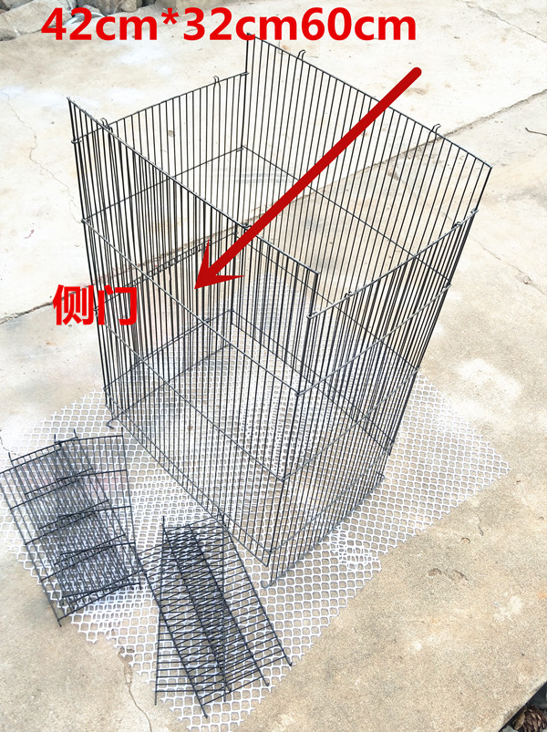 Squirrel cage with high rise