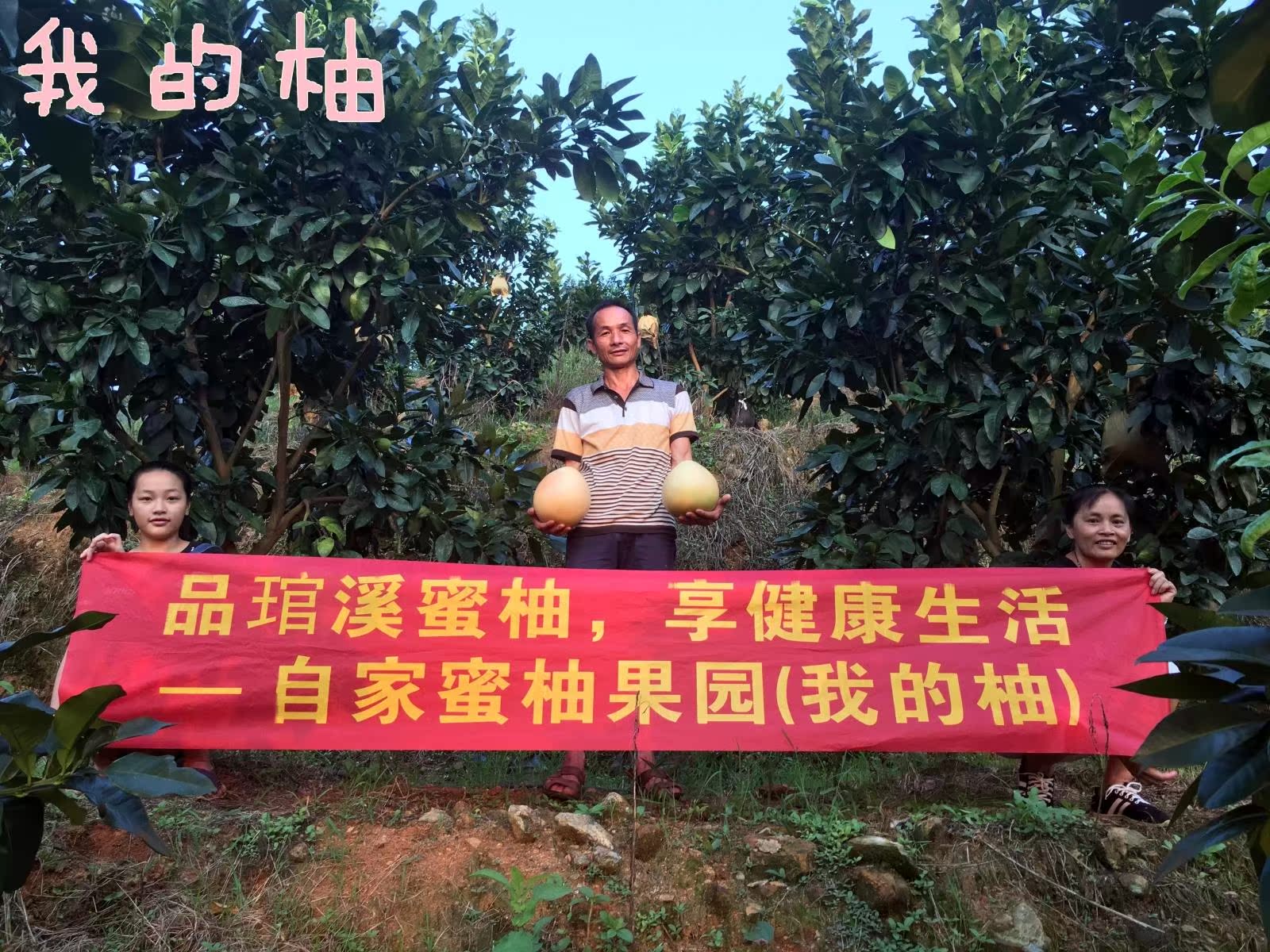 柚子红心柚子红柚红肉蜜柚平和特产琯溪蜜柚水果新鲜水果6斤 西双版纳